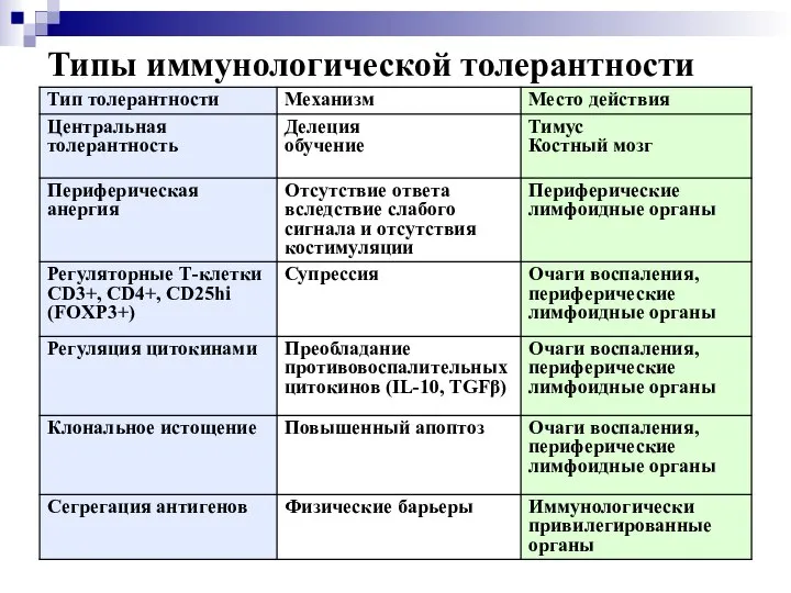 Типы иммунологической толерантности