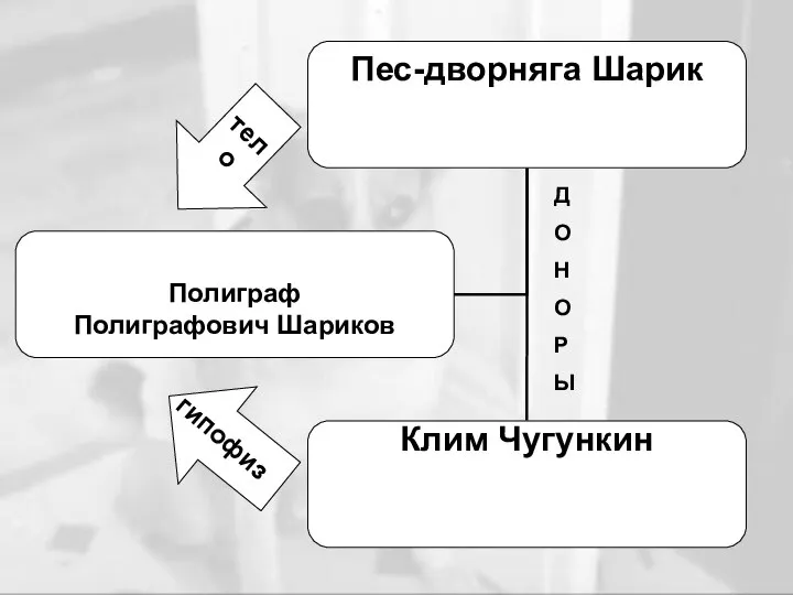 гипофиз тело Д О Н О Р Ы