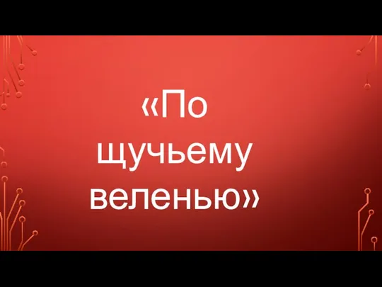 «По щучьему веленью»