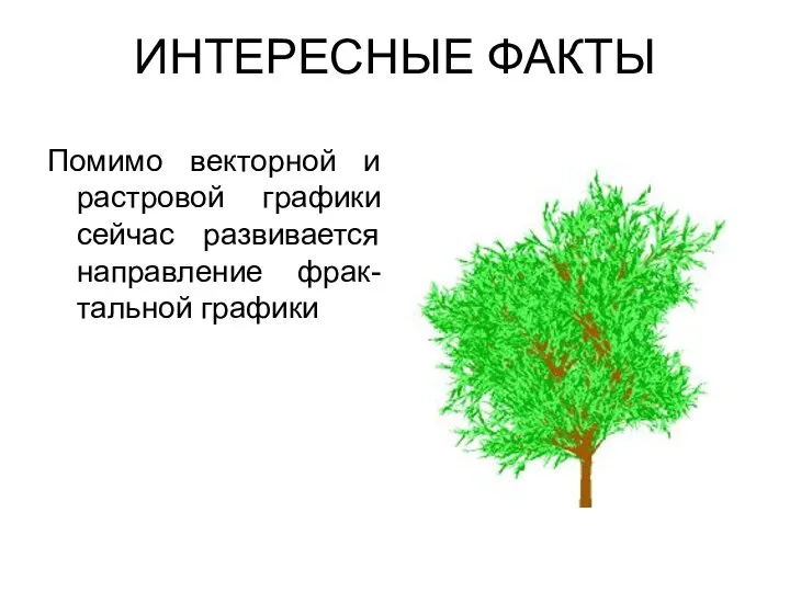 ИНТЕРЕСНЫЕ ФАКТЫ Помимо векторной и растровой графики сейчас развивается направление фрак-тальной графики