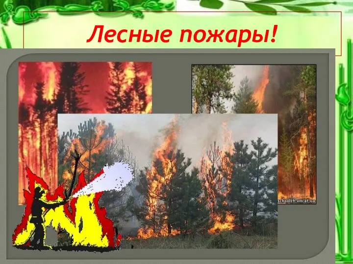 Лесные пожары!