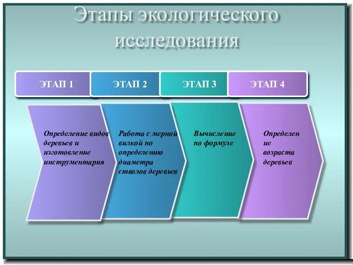 Этапы экологического исследования ЭТАП 1 ЭТАП 2 ЭТАП 3 ЭТАП 4