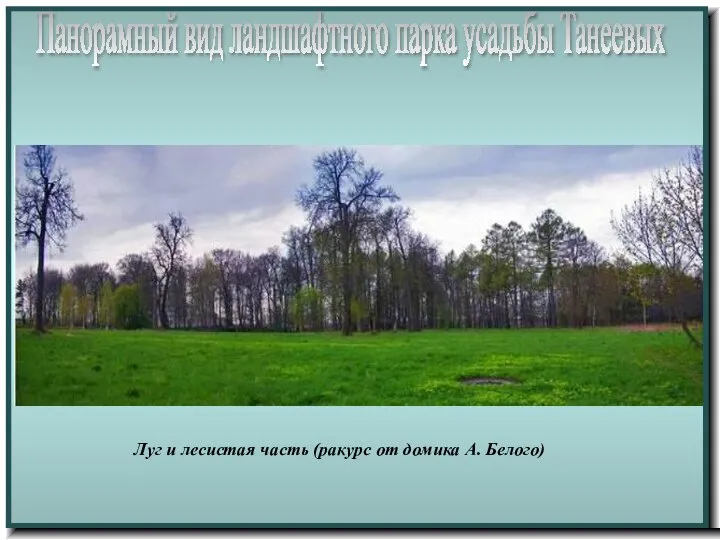 Панорамный вид ландшафтного парка усадьбы Танеевых Луг и лесистая часть (ракурс от домика А. Белого)