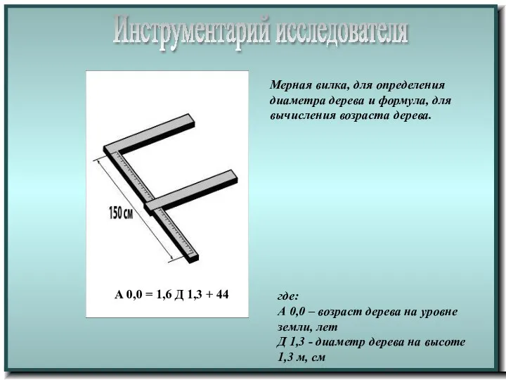 Мерная вилка, для определения диаметра дерева и формула, для вычисления возраста