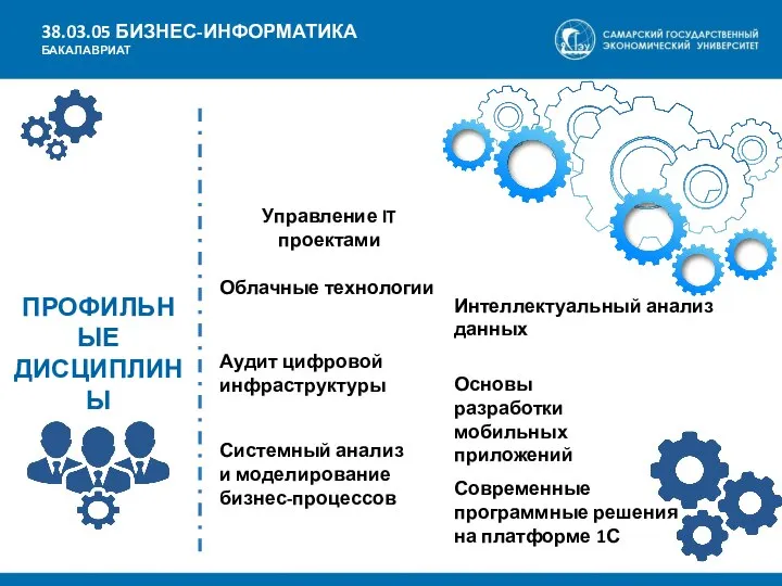 ПРОФИЛЬНЫЕ ДИСЦИПЛИНЫ 38.03.05 БИЗНЕС-ИНФОРМАТИКА БАКАЛАВРИАТ Управление IT проектами Аудит цифровой инфраструктуры