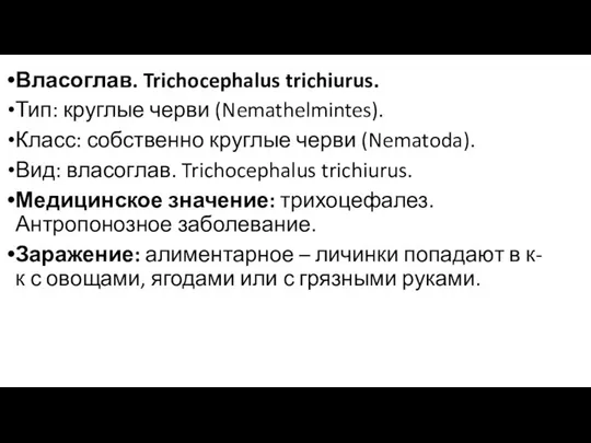 Власоглав. Trichocephalus trichiurus. Тип: круглые черви (Nemathelmintes). Класс: собственно круглые черви