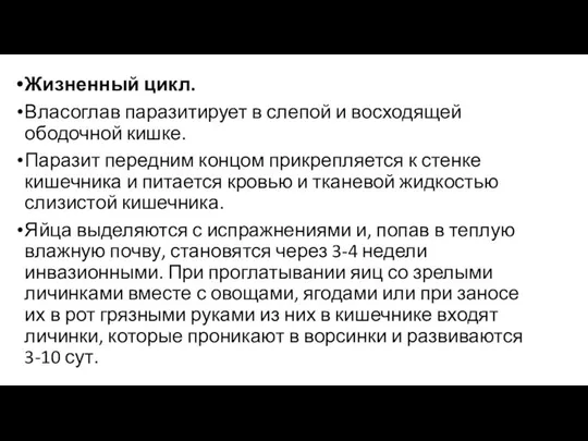 Жизненный цикл. Власоглав паразитирует в слепой и восходящей ободочной кишке. Паразит