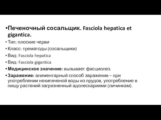 Печеночный сосальщик. Fasciola hepatica et gigantica. Тип: плоские черви Класс: трематоды