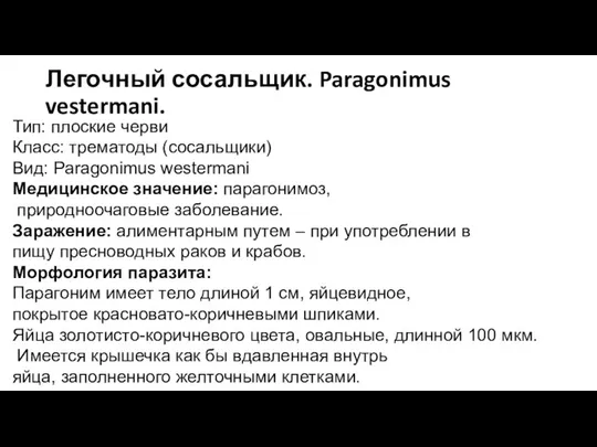 Легочный сосальщик. Paragonimus vestermani. Тип: плоские черви Класс: трематоды (сосальщики) Вид: