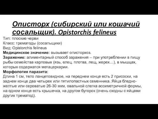 Описторх (сибирский или кошачий сосальщик). Opistorchis felineus Тип: плоские черви Класс: