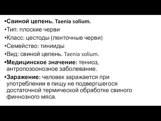 Свиной цепень. Taenia solium. Тип: плоские черви Класс: цестоды (ленточные черви)