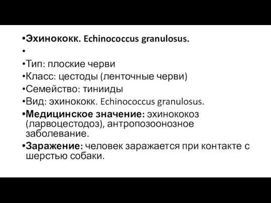 Эхинококк. Echinococcus granulosus. Тип: плоские черви Класс: цестоды (ленточные черви) Семейство: