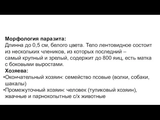 Морфология паразита: Длинна до 0,5 см, белого цвета. Тело лентовидное состоит