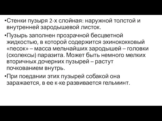 Стенки пузыря 2-х слойная: наружной толстой и внутренней зародышевой листок. Пузырь