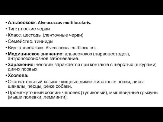 Альвеококк. Alveococcus multilocularis. Тип: плоские черви Класс: цестоды (ленточные черви) Семейство: