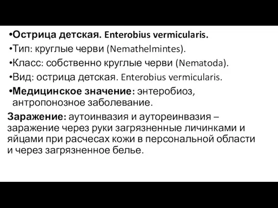 Острица детская. Enterobius vermicularis. Тип: круглые черви (Nemathelmintes). Класс: собственно круглые