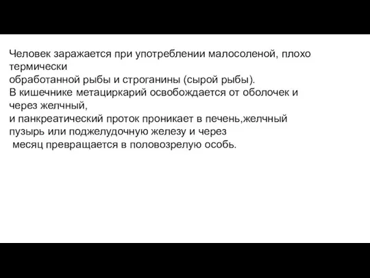 Человек заражается при употреблении малосоленой, плохо термически обработанной рыбы и строганины