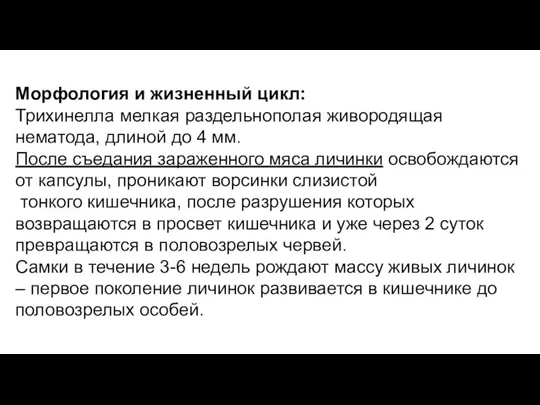 Морфология и жизненный цикл: Трихинелла мелкая раздельнополая живородящая нематода, длиной до