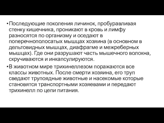 Последующие поколения личинок, пробуравливая стенку кишечника, проникают в кровь и лимфу