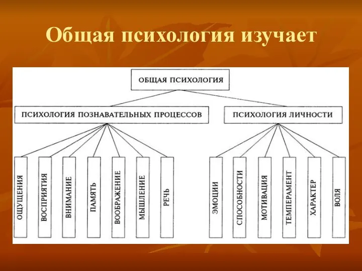 Общая психология изучает