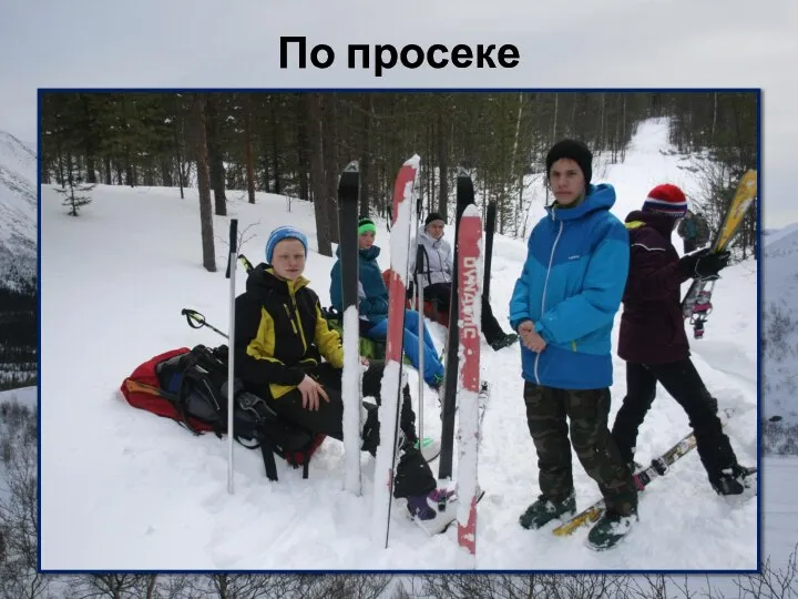 По просеке