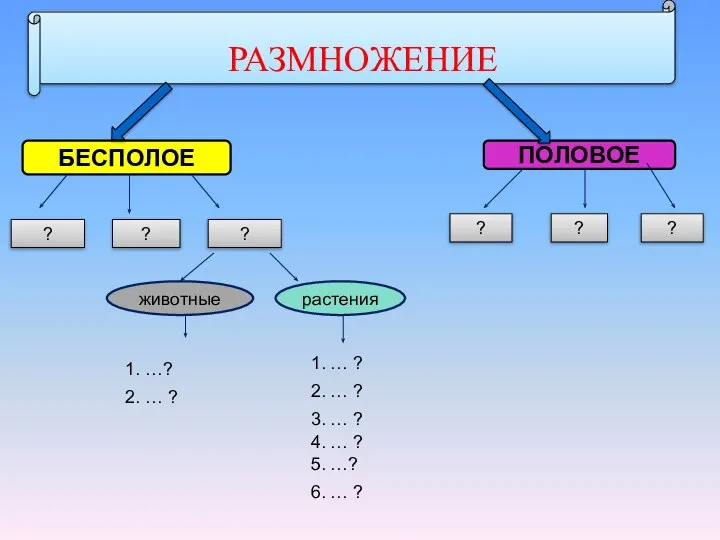 РАЗМНОЖЕНИЕ БЕСПОЛОЕ ПОЛОВОЕ ? ? ? животные растения 1. …? 2.