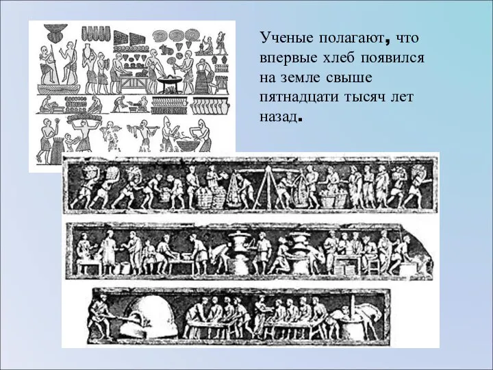 Ученые полагают, что впервые хлеб появился на земле свыше пятнадцати тысяч лет назад.