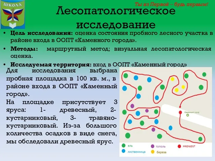 Лесопатологическое исследование Цель исследования: оценка состояния пробного лесного участка в районе