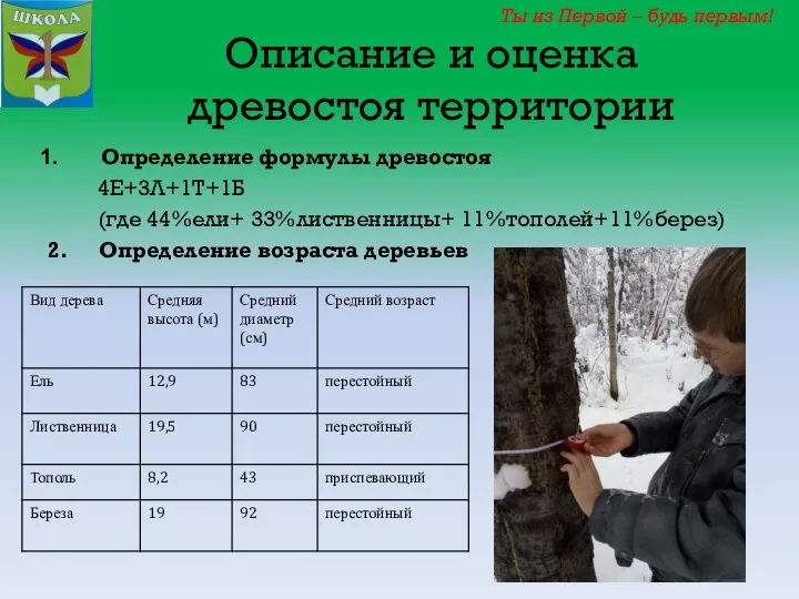 Описание и оценка древостоя территории Определение формулы древостоя 4Е+3Л+1Т+1Б (где 44%ели+