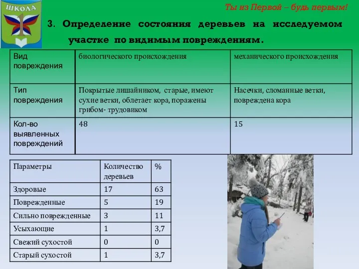 3. Определение состояния деревьев на исследуемом участке по видимым повреждениям.