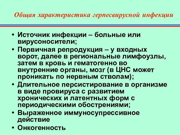 Общая характеристика герпесвирусной инфекции Источник инфекции – больные или вирусоносители; Первичная