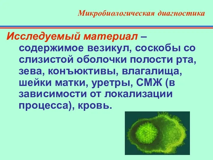 Микробиологическая диагностика Исследуемый материал – содержимое везикул, соскобы со слизистой оболочки