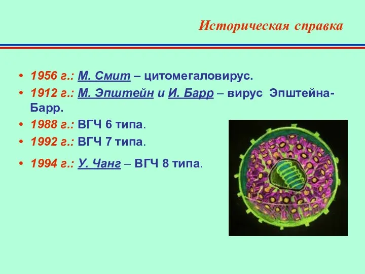 Историческая справка 1956 г.: М. Смит – цитомегаловирус. 1912 г.: М.