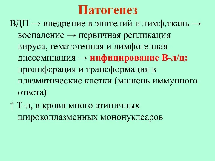 Патогенез ВДП → внедрение в эпителий и лимф.ткань → воспаление →