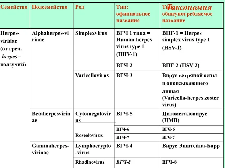 Таксономия