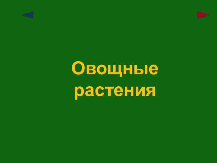 Овощные растения