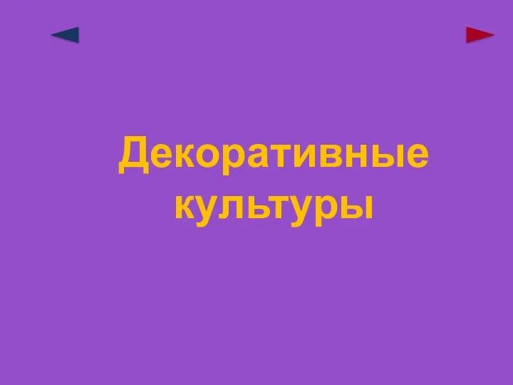 Декоративные культуры