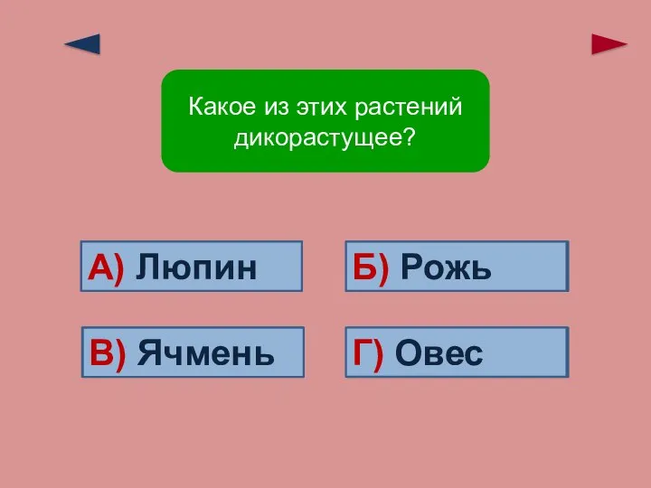 Ошибка! Ошибка! Ошибка! Верно! Г) Овес Б) Рожь В) Ячмень А)