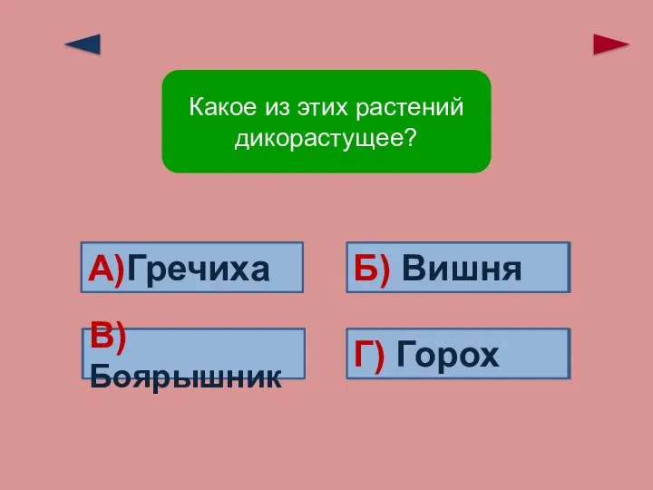 Верно! Ошибка! Ошибка! Ошибка! Г) Горох Б) Вишня А)Гречиха В)Боярышник Какое из этих растений дикорастущее?