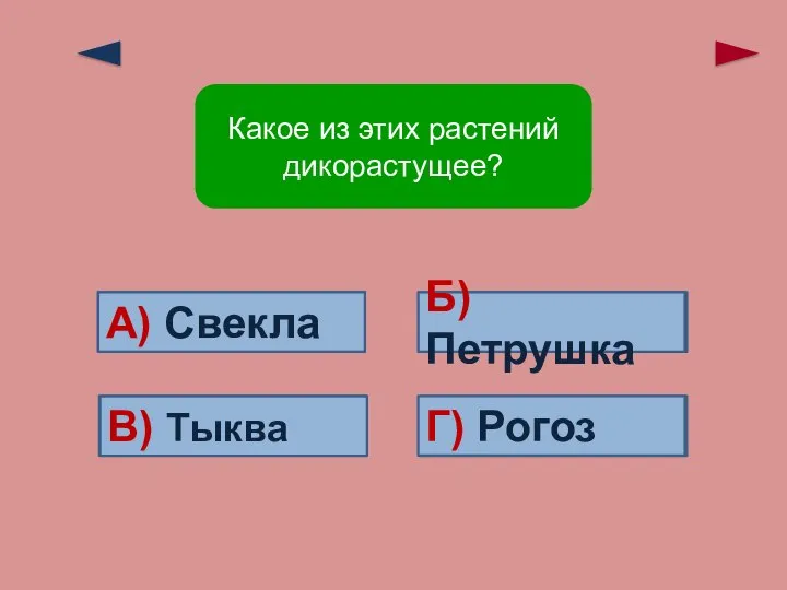 Ошибка! Ошибка! Ошибка! А) Свекла В) Тыква Б) Петрушка Верно! Г)