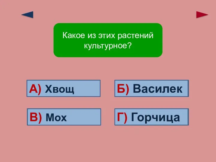 Ошибка! Ошибка! Ошибка! Верно! В) Мох А) Хвощ Б) Василек Г)