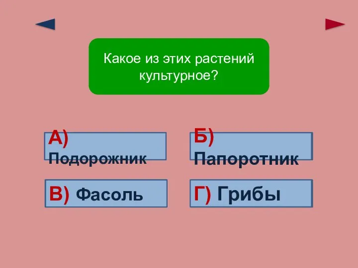 Верно! В) Фасоль Ошибка! Ошибка! Ошибка! А)Подорожник Б)Папоротник Г) Грибы Какое из этих растений культурное?