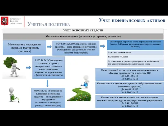 Учет нефинансовых активов Учетная политика УЧЕТ ОСНОВНЫХ СРЕДСТВ Многолетние насаждения (деревья,