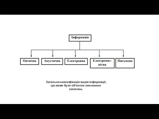 Загальна класифікація видів інформації, що може бути об’єктом злочинних посягань