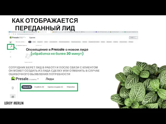 Оповещение в Presale о новом лиде (обработка не более 30 минут)