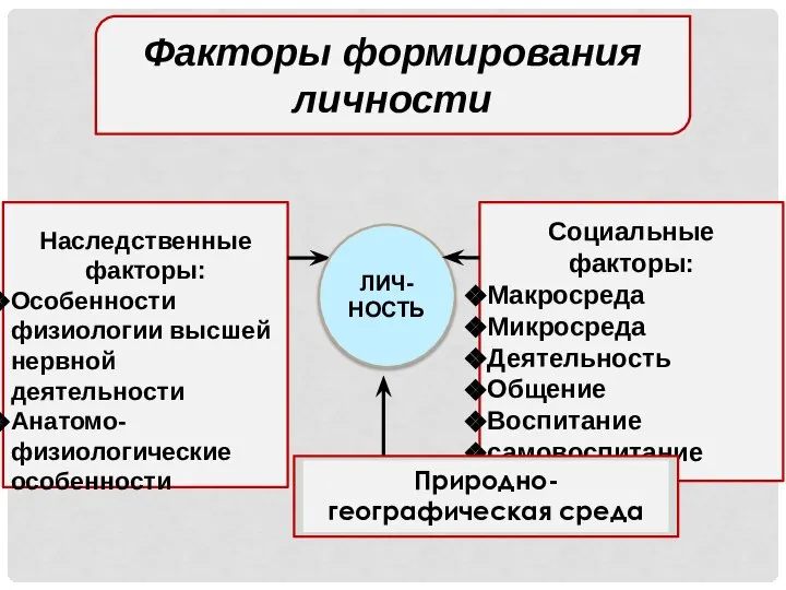 Факторы формирования личности Наследственные факторы: Особенности физиологии высшей нервной деятельности Анатомо-физиологические