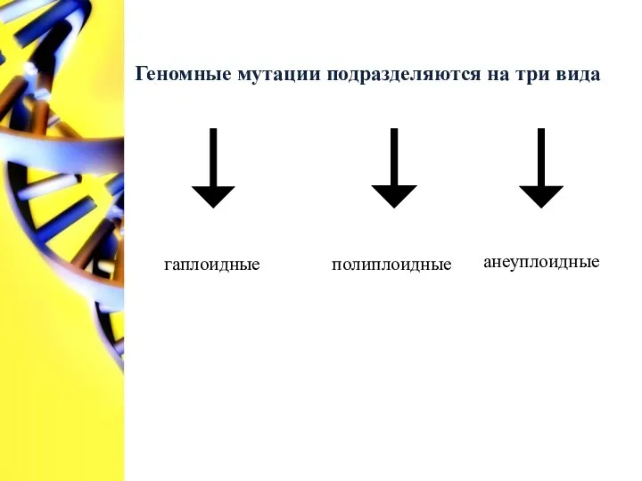 Геномные мутации подразделяются на три вида гаплоидные полиплоидные анеуплоидные