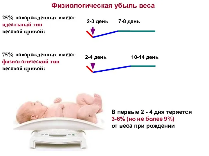 Физиологическая убыль веса 2-3 день 7-8 день 2-4 день 10-14 день