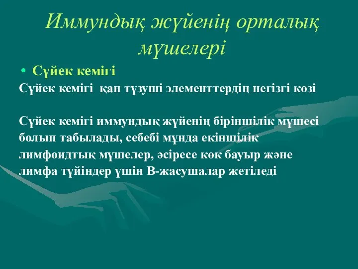 Иммундық жүйенің орталық мүшелері Сүйек кемігі Сүйек кемігі қан түзуші элементтердің