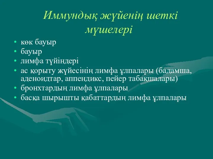 Иммундық жүйенің шеткі мүшелері көк бауыр бауыр лимфа түйіндері ас қорыту